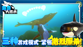 快速提升《元梦之星》铂金段位攻略指南！